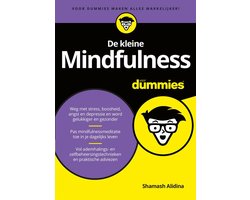 Voor Dummies  -   De kleine mindfulness voor dummies