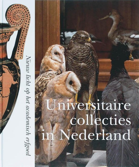 University collections in the Netherlands