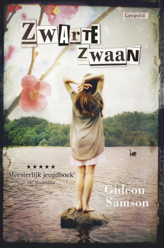 Zwarte zwaan